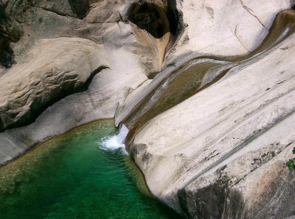 Oliveraie D'Olmiccia Dış mekan fotoğraf