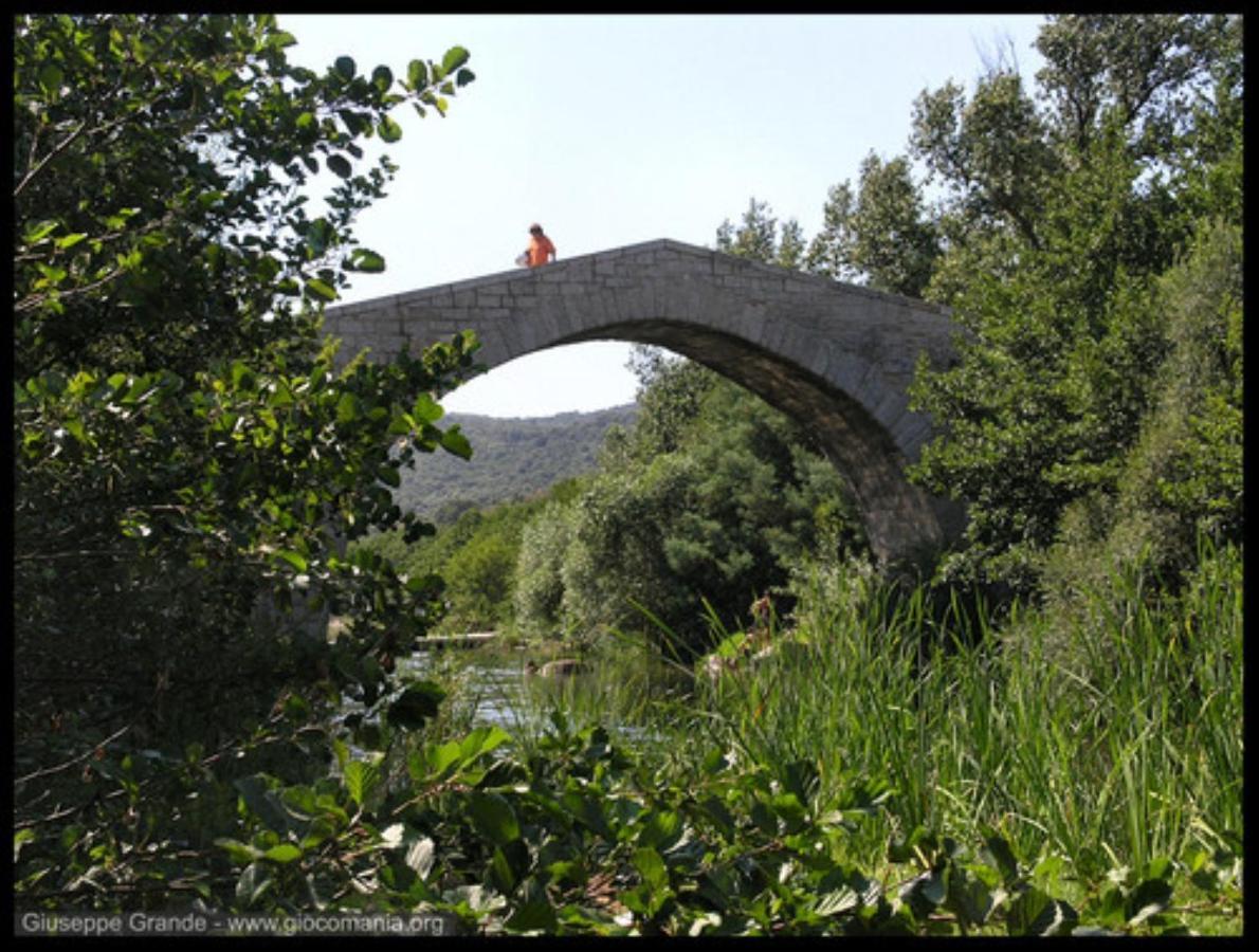 Oliveraie D'Olmiccia Dış mekan fotoğraf